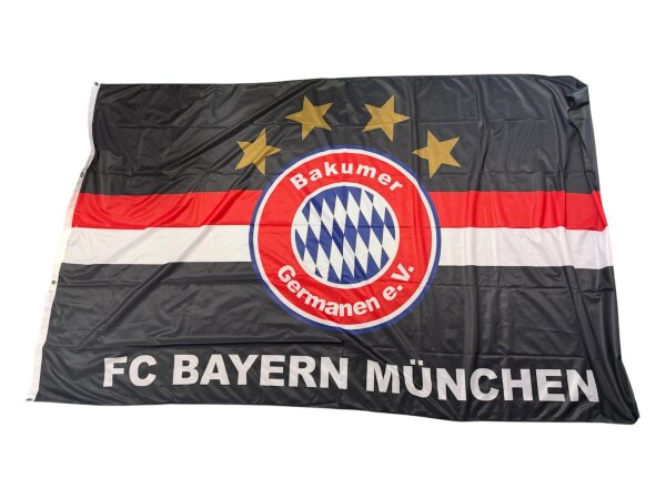 Fahne Bakumer Germanen groß