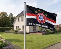 Fahne Bakumer Germanen groß